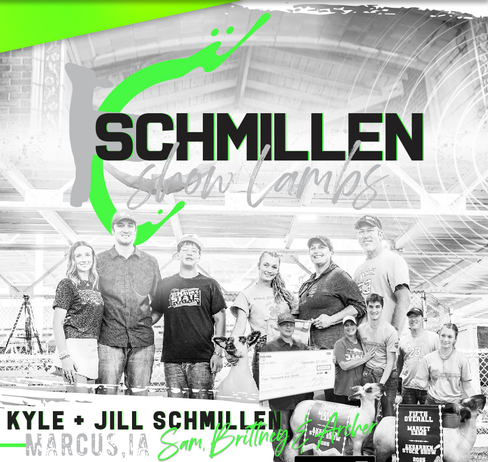 Schmillen Show Lambs