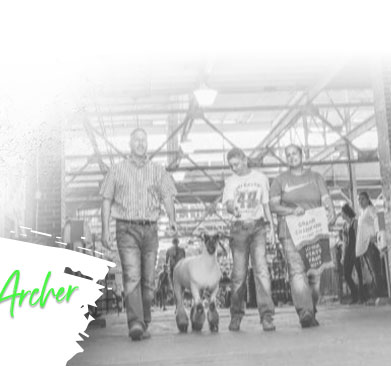 Schmillen Show Lambs